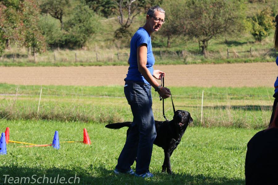 Übungen und Training mit dem Hund