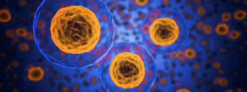 Bioidentische Hormone in den Wechseljahren